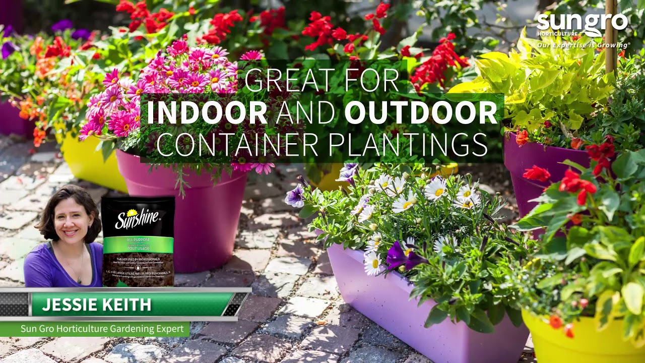 Sunshine® All Purpose Potting Mix Canada - YouTube