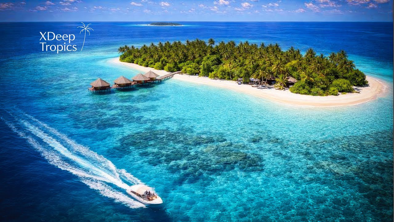 Sunset Beach EDM | Relax & Float