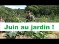 Que faire au jardin en Juin ?