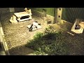 真夜中のタイヤを使った一人舞台
