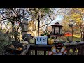 My Saturday Morning Bird &amp; Squirrel (it’s not Christmas yet!) Livestream 4K