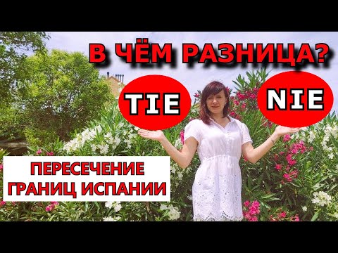 TIE и NIE.