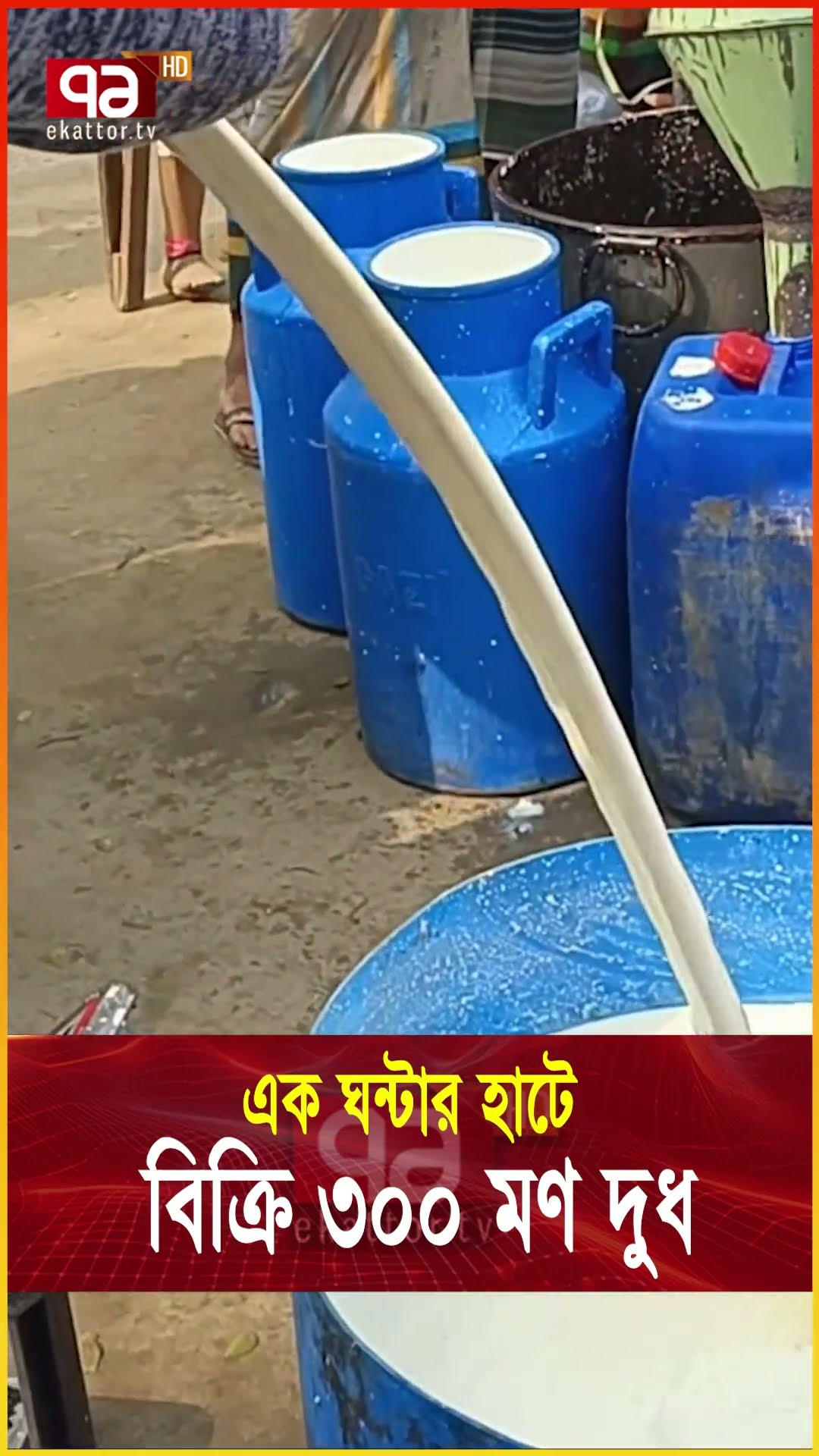 অদ্ভুত দুধের হাট; বসে এক ঘণ্টা বিক্রি কোটি টাকা #milkmarket #businesssuccess  #news #banglanews