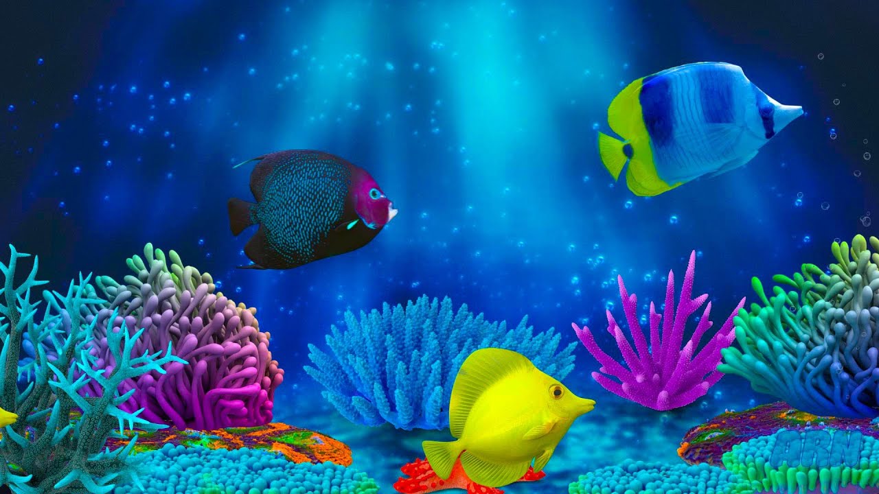 Baby Lullaby. Soothing fishes.Calming Undersea Animation. Aquarium 🐟 💤 