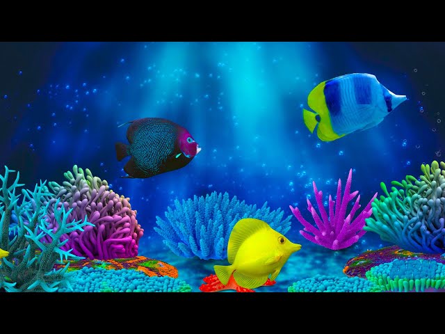 Baby Lullaby. Soothing fishes.Calming Undersea Animation. Aquarium 🐟 💤 class=