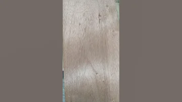 Сапеле тангенциальный