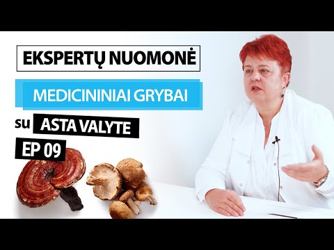 KAS YRA MEDICININIAI GRYBAI? - EKSPERTŲ NUOMONĖ #9