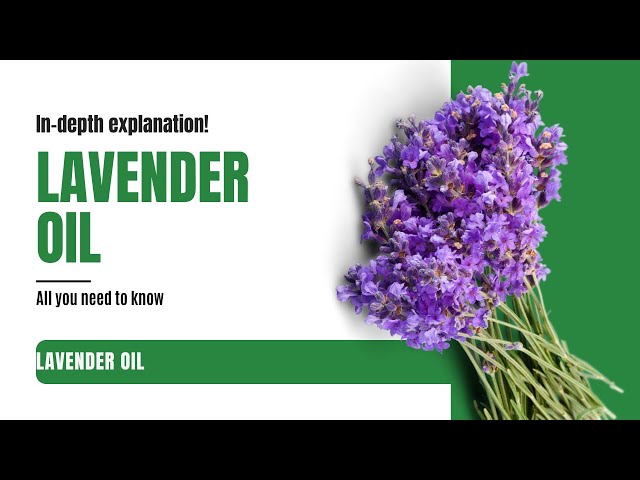 How to Use Lavender Essential Oil: Uses and Benefits