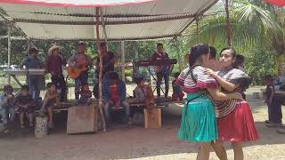 Alegres musical - Ejido pichucalco, ocosingo,Chiapas.