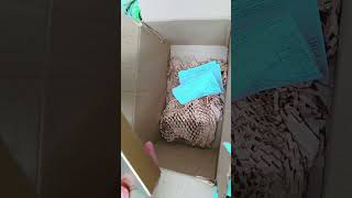 Kay Beauty Limited Edition Collection #shortvideo