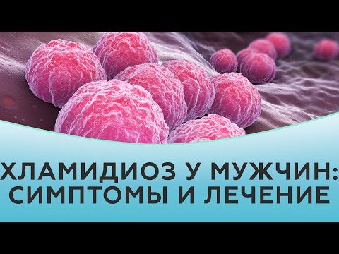 Хламидиоз у мужчин. Хламидиоз симптомы. Хламидиоз лечение