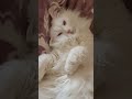 😁УСТАЛ ОТДЫХАТЬ!  Жанна Фетисова
