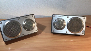 確認動画 イルミ 付き TS-X9 ロンサムカーボーイ パイオニア TS-X9 パイオニア ロンサムカーボーイ 街道レーサー 当時物 旧車