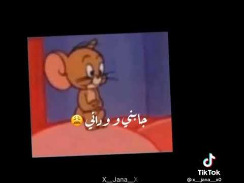 الحب نداني جابني وداني