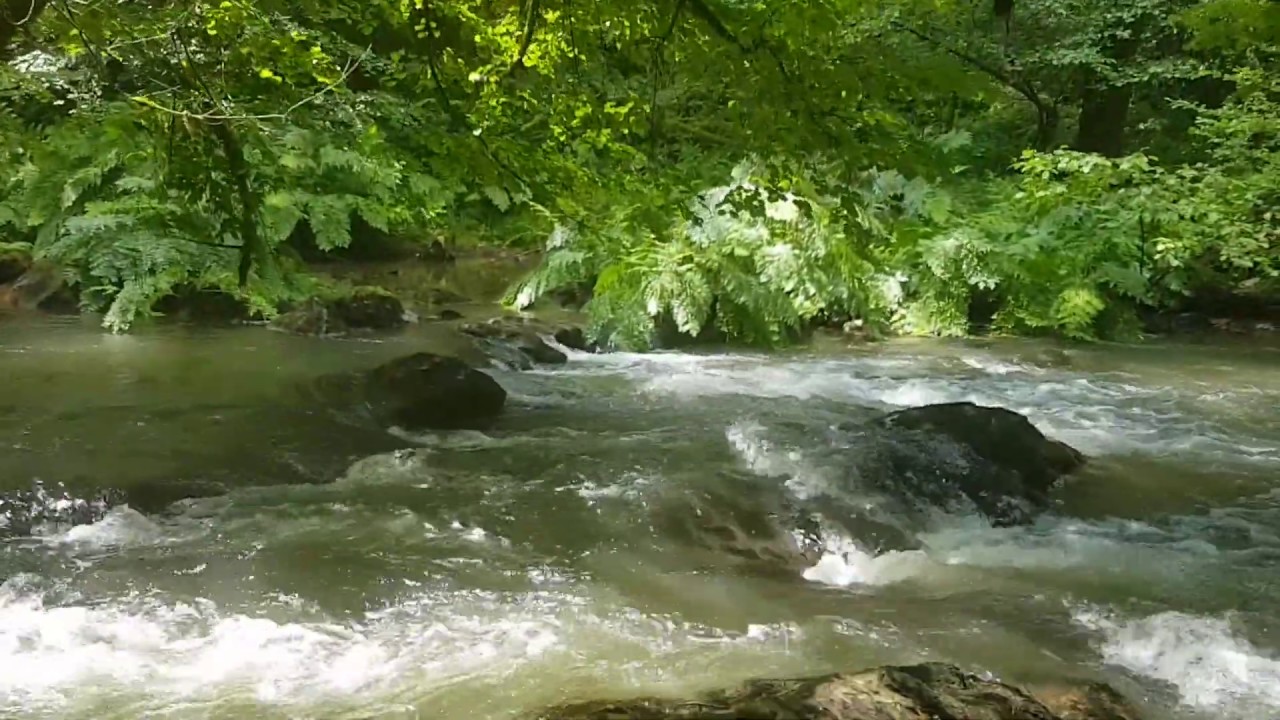  Rando Centre Tarn Chemin Des Vall es YouTube