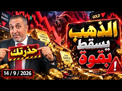 الذهب دخل منطقة الخطر! والفضة تعطي إشارة أخطر ( الفضة هتنزل حالا في فيديو مستقل )
