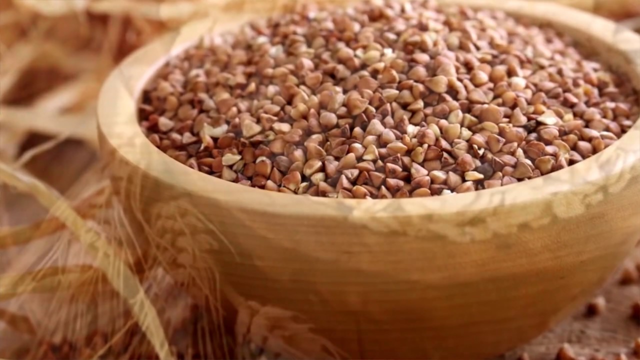 Чем кормить крысу?