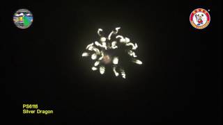 SC150OT01 - 6 INCH SHELL - WIZARD FIREWORKS - PS6117
