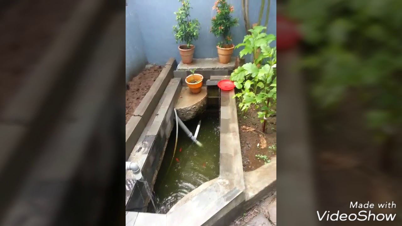  Kolam  ikan  dan taman mini YouTube