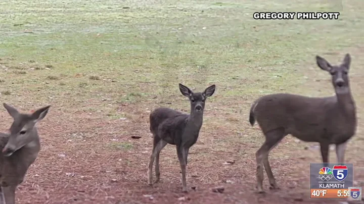 Snaps on Sunrise 12.17.2025