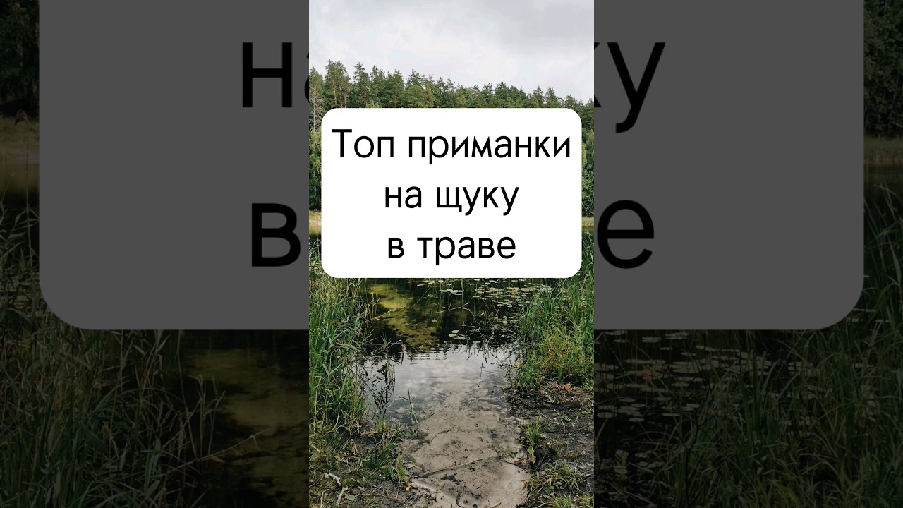 Приманки на щуку в траве🎣 