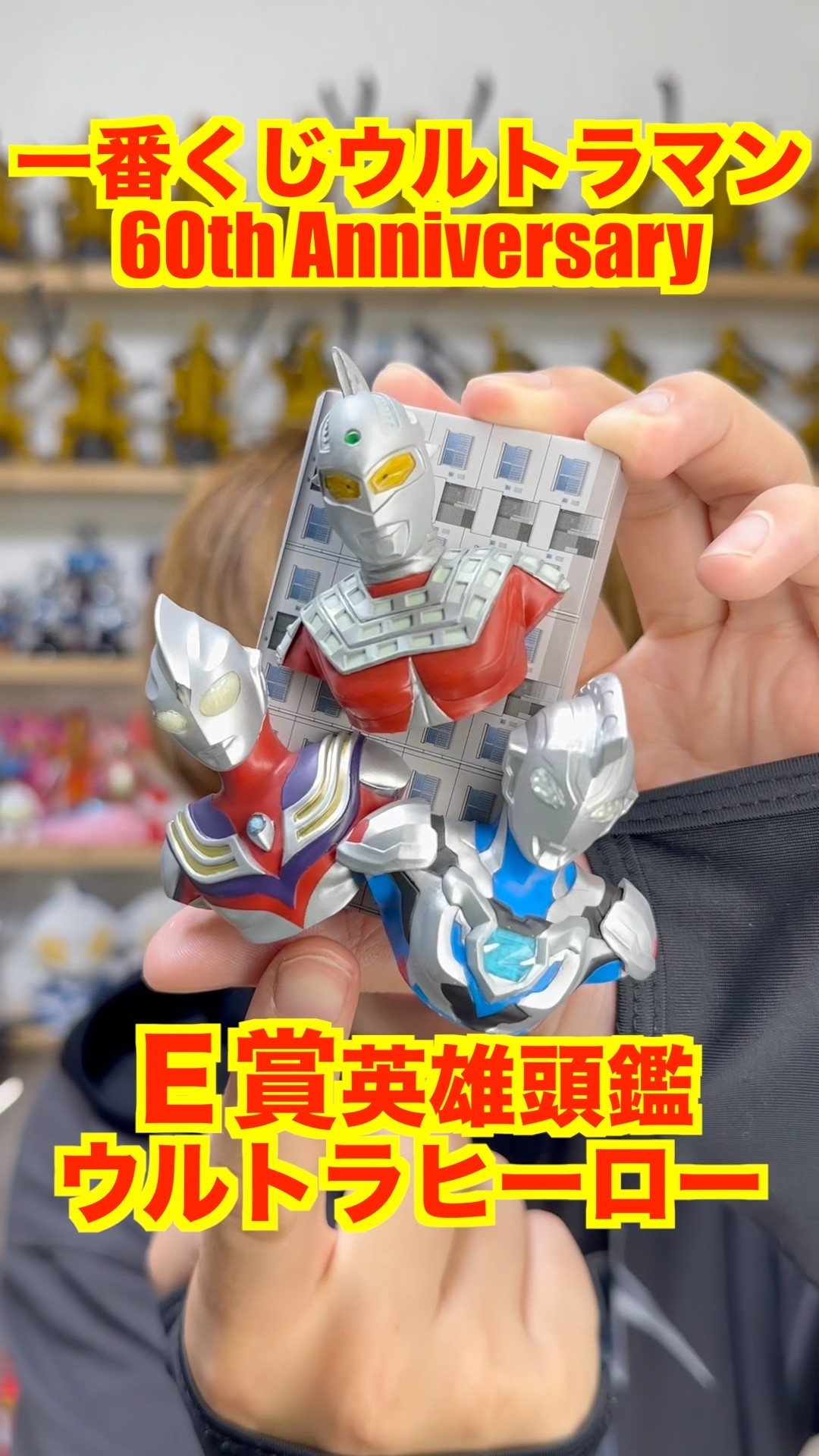 一番くじ】ウルトラマン60anniversary E賞 英雄頭鑑 ウルトラヒーロー