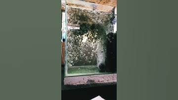 media filter K1 Kaldnes😉