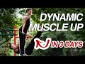 Comment jai appris le dynamic muscle up en 3 jours essayezle