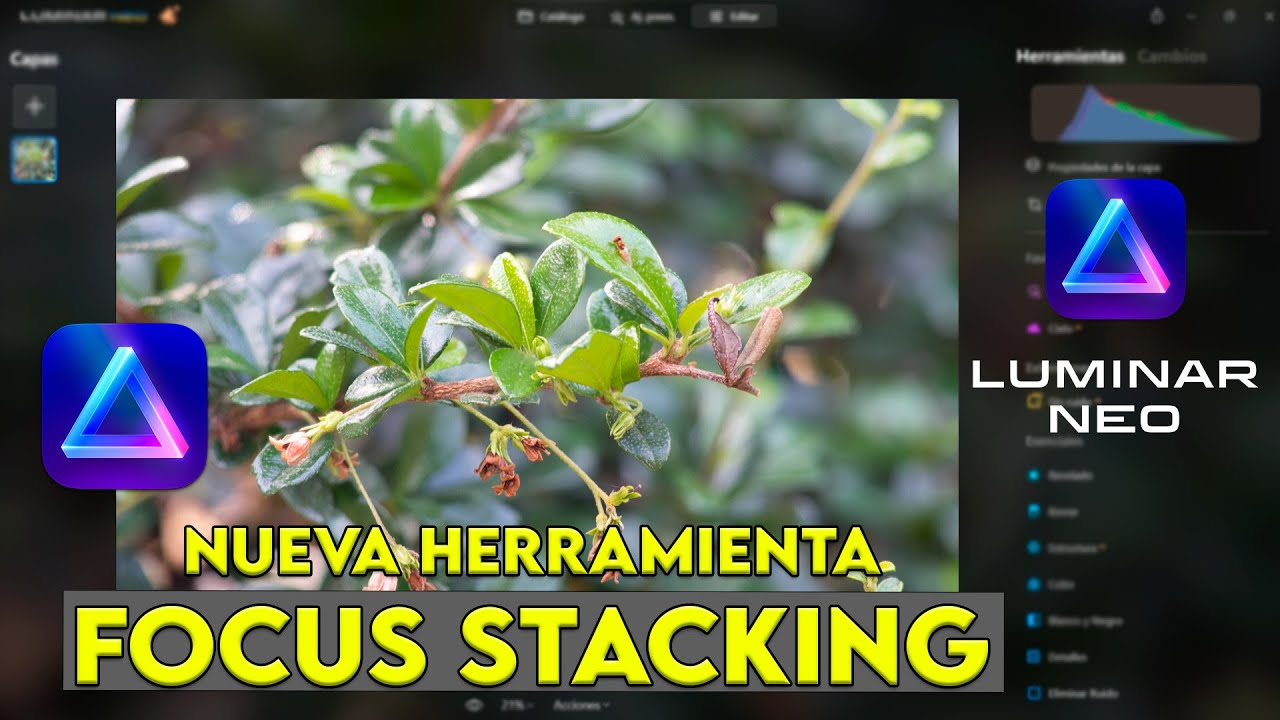 Luminar Neo Nueva Versi n Con Focus Stacking NOVEDADES Y M S YouTube luminar-neo-nueva-versi-n-con-focus-stacking-novedades-y-m-s-youtube