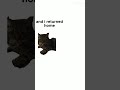 QUASO Croissant Cats Memes Shorts Subscribe Beauandgracie 