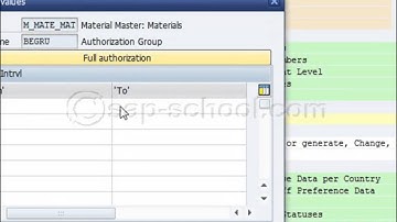 SAP Security training for beginners