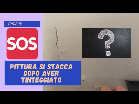 Video: Per quale motivo si indurisce l'intonaco di Parigi?