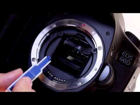 Canon EOS 60D Tutorial - Interchangeable Focus Screens 14/14