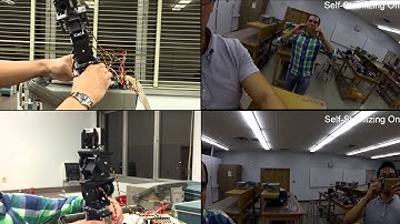 Self-Stabilizing Platform