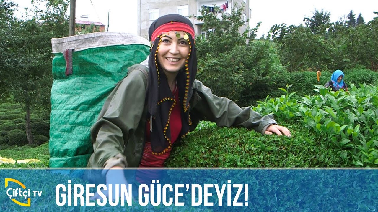 Giresun Güce'deyiz! / KÖYLÜ KIZI SEMRA
