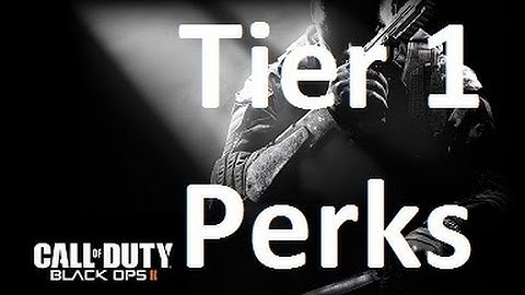 Black Ops 2 Tier 1 Perks