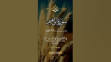 قران كريم #حالات #اكسبلور #دعاء #دويتو #قران #لايك #حالات_واتس #تيك_توك #صباح_الخير #ترند