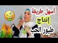 اسهل طريقة إنتاج وتزاوج طيور الفيشر و الروز طيور الحب  Love Bird