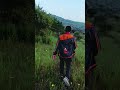 #tracking #nature #travel #shots