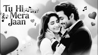 Tu hi mare jann || New Hindian song|| HD Hindi song love story song ||