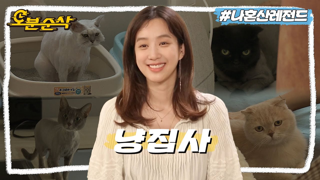 [#나혼자산다] 모셔야 할 냥이님만 4마리😺😸😾😿 4묘4색의 반려묘 집사 배우 정려원ㅣ나혼자산다⏱오분순삭 MBC180921방송