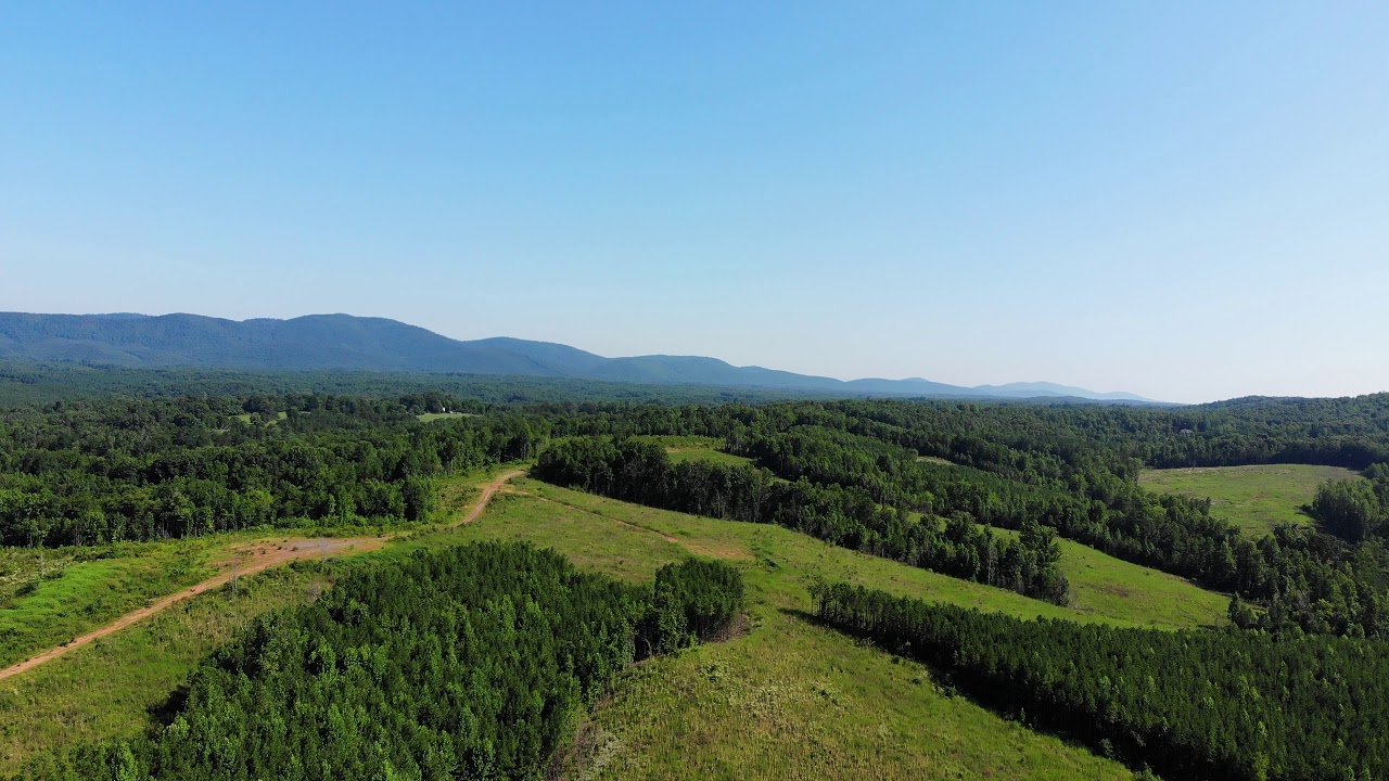 Timber Investment Property for Sale Scottsville Virginia YouTube