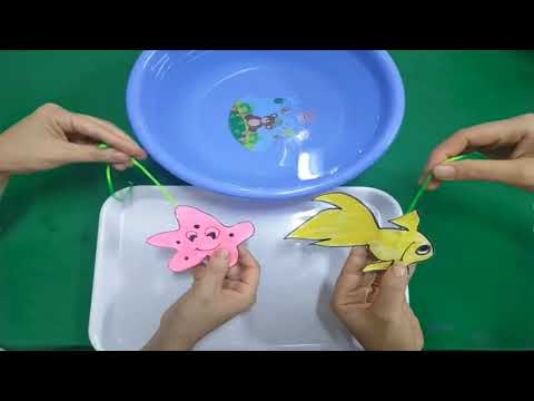 Giấy đi trong nước