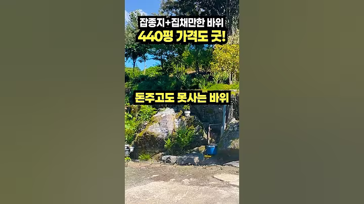 잡종지 + 집만한 바위가 바로앞쪽에