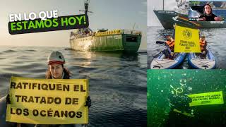 Encuentro Greenpeace en Acción - Conectate por las ballenas