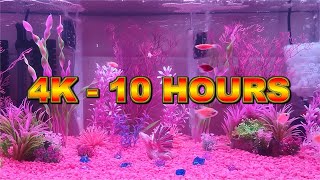 Pink Glow Fish Tank (10 Hours) - ASMR, Meditation, Relaxation, Sleep, Reduce Stress (bubble sounds)