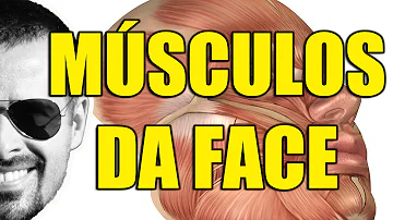 Quais são os músculos do rosto?