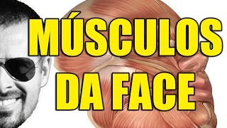 Músculos da Face: Mímica ou Expressão Facial - Anatomia Humana - Sistema Muscular - VideoAula 099