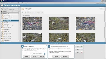 How to Create a Copy (Backup) or restore your Pictures on a Photo Archive CD or DVD In Picasa 3.8