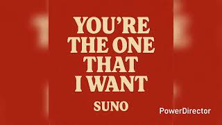 You're The One That I Want (Audio)